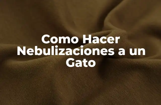 Como Hacer Nebulizaciones a un Gato