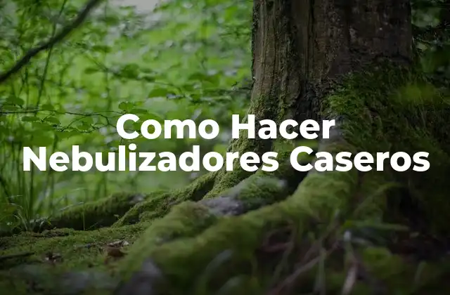 Como Hacer Nebulizadores Caseros