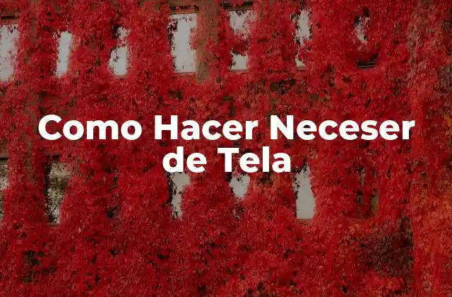 Como Hacer Neceser de Tela