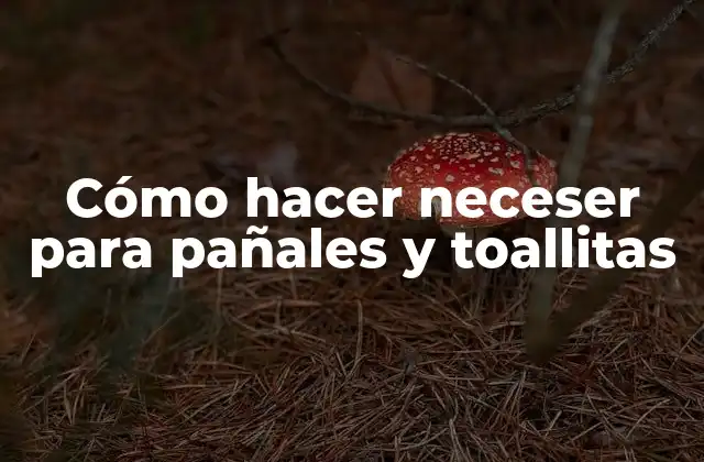 Cómo Hacer Neceser para Pañales y Toallitas