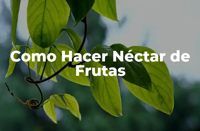 ¿Qué es el Néctar de Frutas?