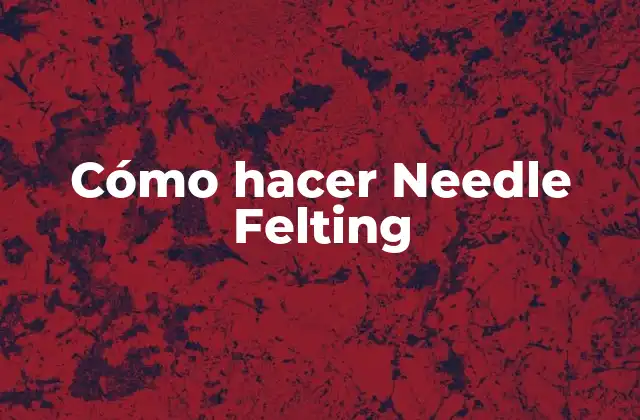 Cómo Hacer Needle Felting