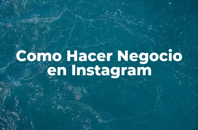Como Hacer Negocio en Instagram