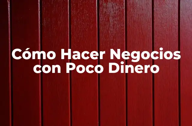 Cómo Hacer Negocios con Poco Dinero