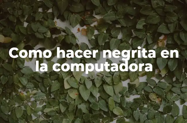 Como hacer negrita en la computadora