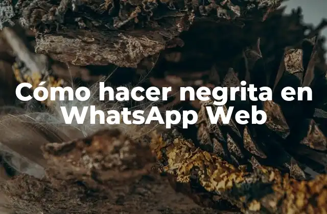 Cómo Hacer Negrita en Whatsapp Web