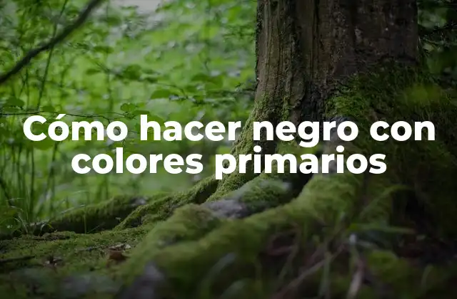 Cómo Hacer Negro con Colores Primarios