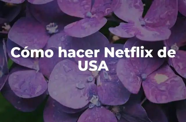 ¿Qué es Netflix de Estados Unidos?