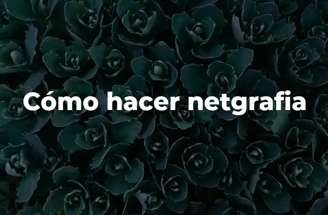¿Qué es la netgrafia y para qué sirve?