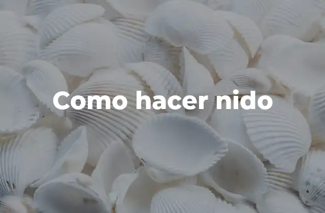 Como Hacer Nido 2 ¿Qué es un nido y para qué sirve?