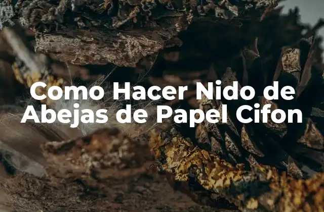 Como Hacer Nido de Abejas de Papel Cifon