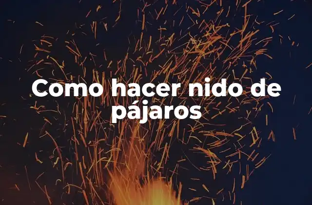 Como Hacer Nido de Pájaros