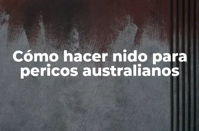 Cómo Hacer Nido para Pericos Australianos