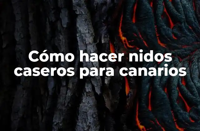 Cómo Hacer Nidos Caseros para Canarios
