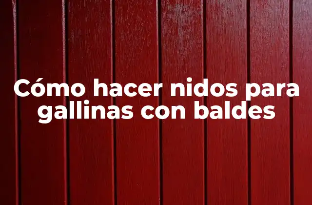 Cómo Hacer Nidos para Gallinas con Baldes