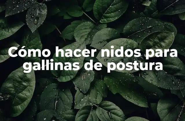 Cómo Hacer Nidos para Gallinas de Postura