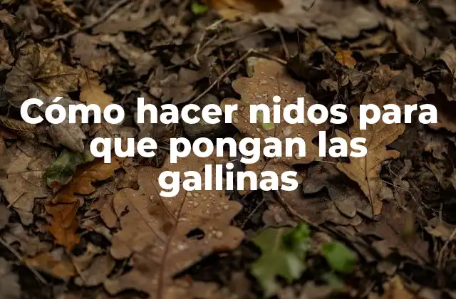 Cómo Hacer Nidos para que Pongan las Gallinas