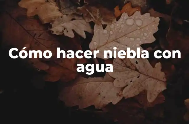 ¿Qué es la niebla?