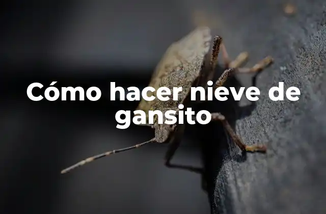 Cómo Hacer Nieve de Gansito