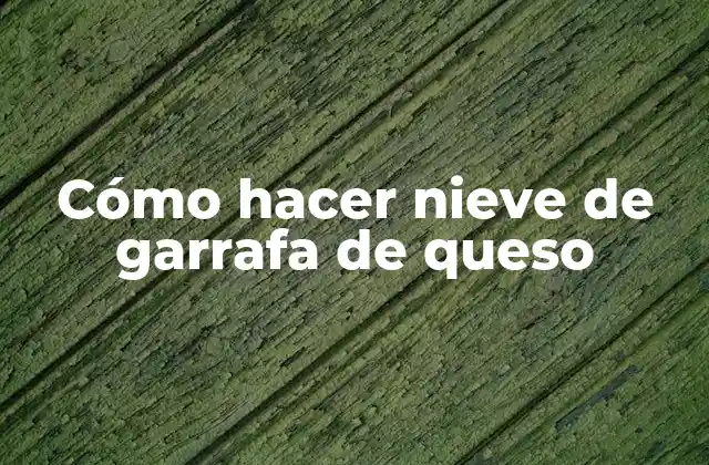 Cómo Hacer Nieve de Garrafa de Queso