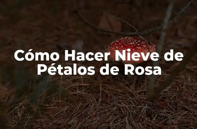 Cómo Hacer Nieve de Pétalos de Rosa