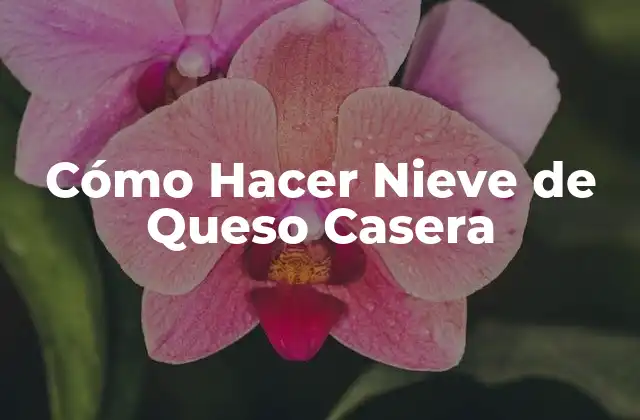 Cómo Hacer Nieve de Queso Casera