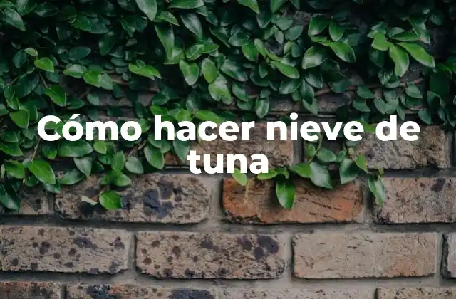 Cómo Hacer Nieve de Tuna