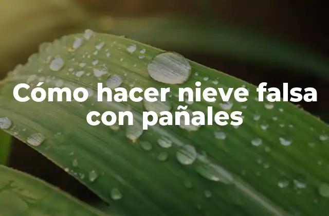 Cómo Hacer Nieve Falsa con Pañales