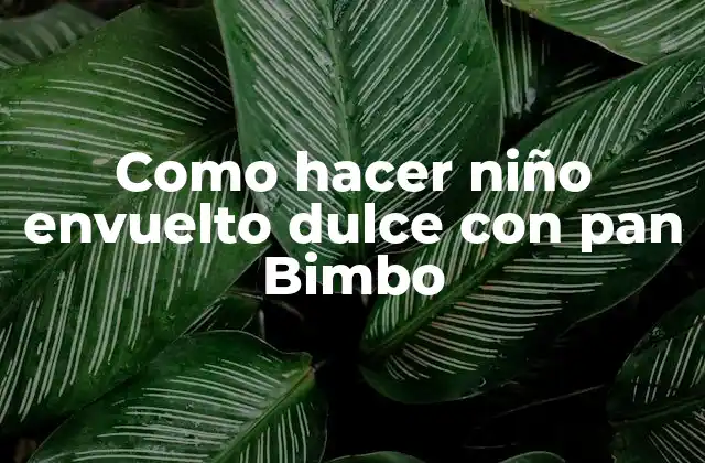 Niño envuelto dulce con pan Bimbo