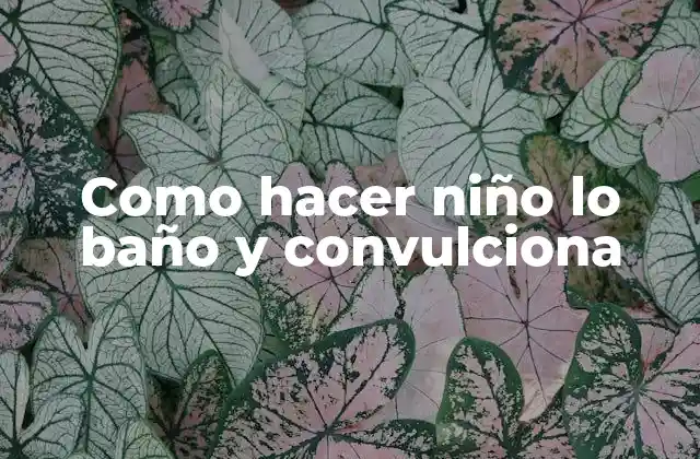Como Hacer Niño Lo Baño y Convulciona