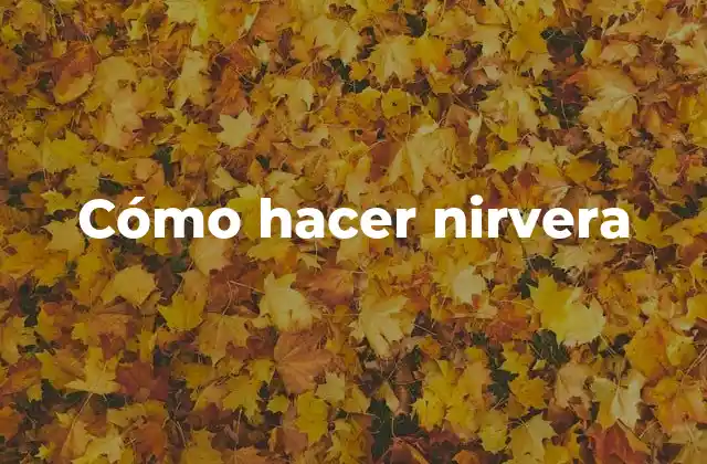 Cómo Hacer Nirvera