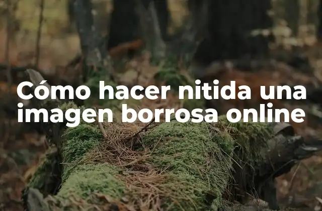 Cómo Hacer Nitida una Imagen Borrosa Online