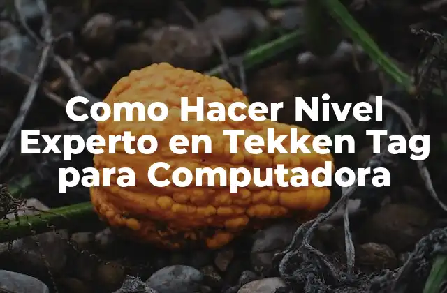 Como Hacer Nivel Experto en Tekken Tag para Computadora
