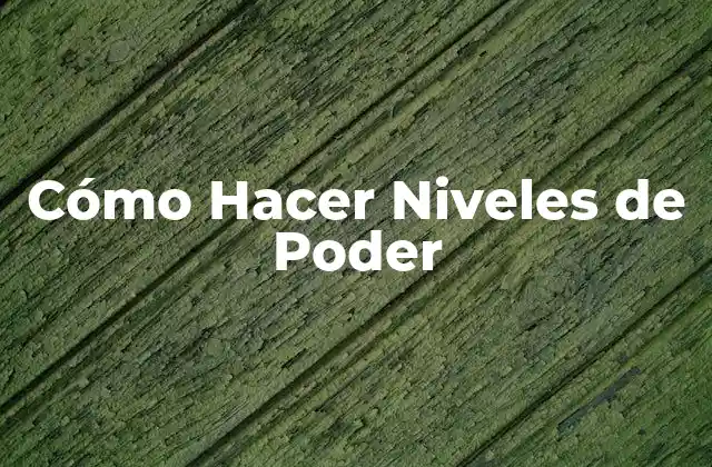 ¿Qué son los Niveles de Poder?
