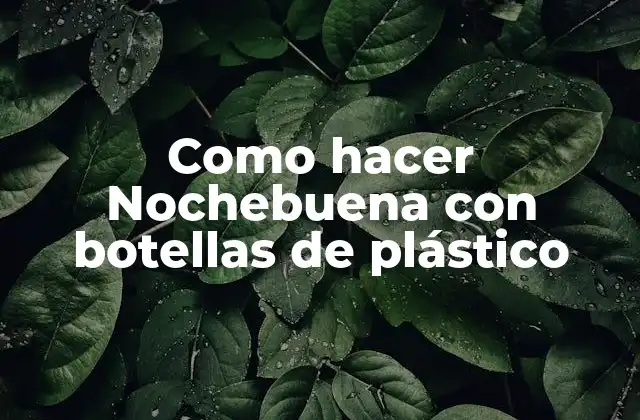 Como Hacer Nochebuena con Botellas de Plástico