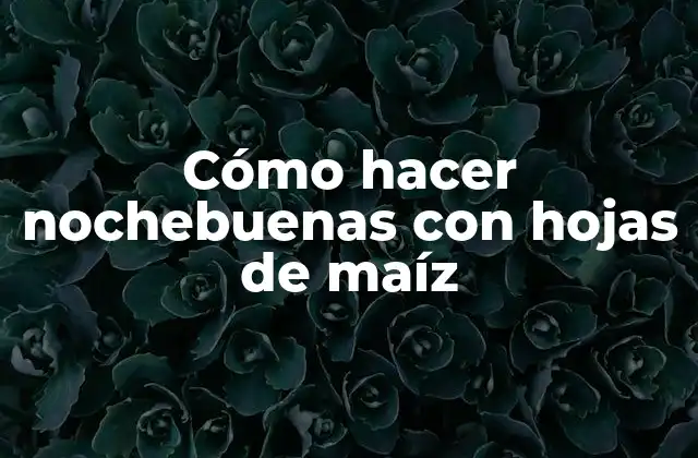 Cómo Hacer Nochebuenas con Hojas de Maíz