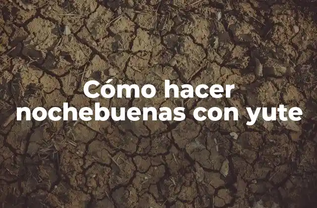 Nochebuenas con yute: Qué son y cómo se utilizan