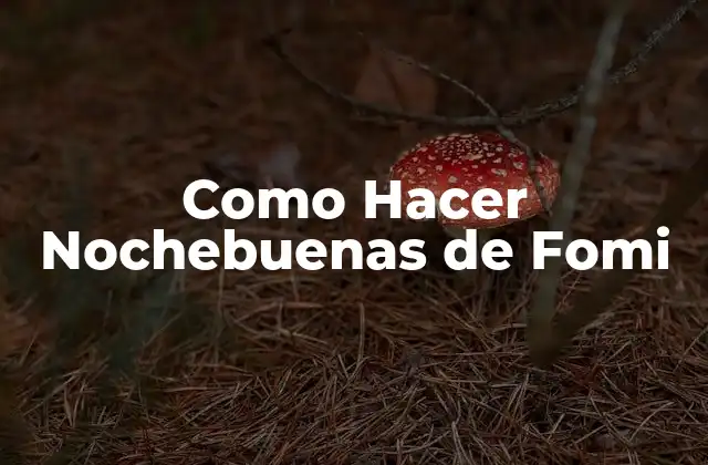 Como Hacer Nochebuenas de Fomi