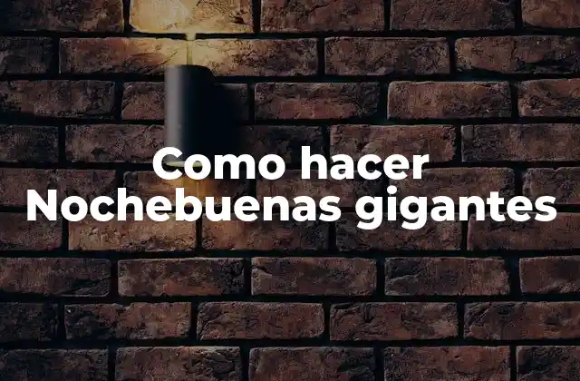 Como Hacer Nochebuenas Gigantes
