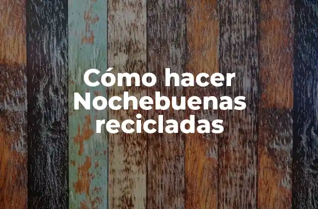 Cómo Hacer Nochebuenas Recicladas