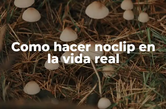 Como Hacer Noclip en la Vida Real