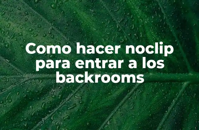 Como Hacer Noclip para Entrar a los Backrooms
