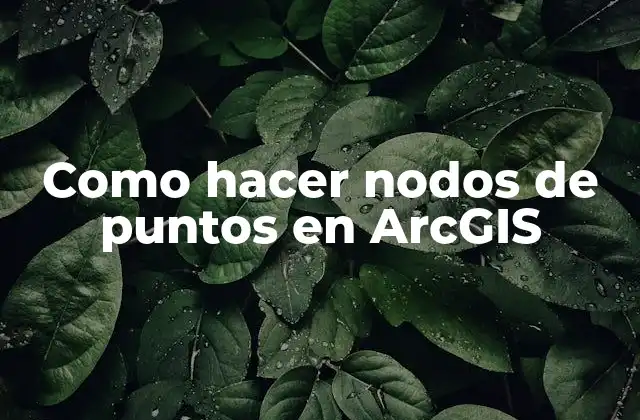 Como Hacer Nodos de Puntos en Arcgis