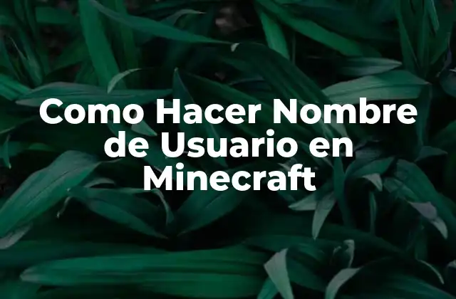 Como Hacer Nombre de Usuario en Minecraft
