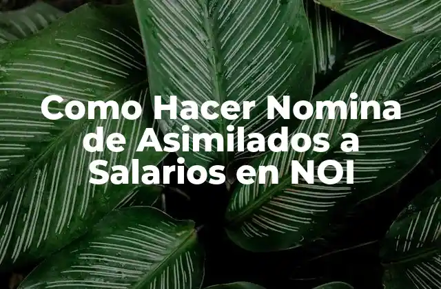 Como Hacer Nomina de Asimilados a Salarios en Noi