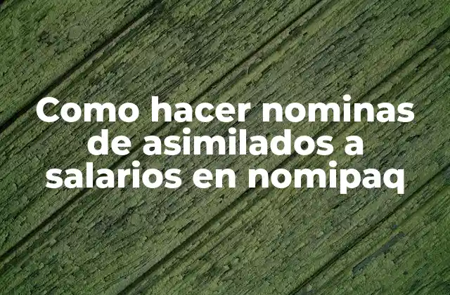 Como Hacer Nominas de Asimilados a Salarios en Nomipaq