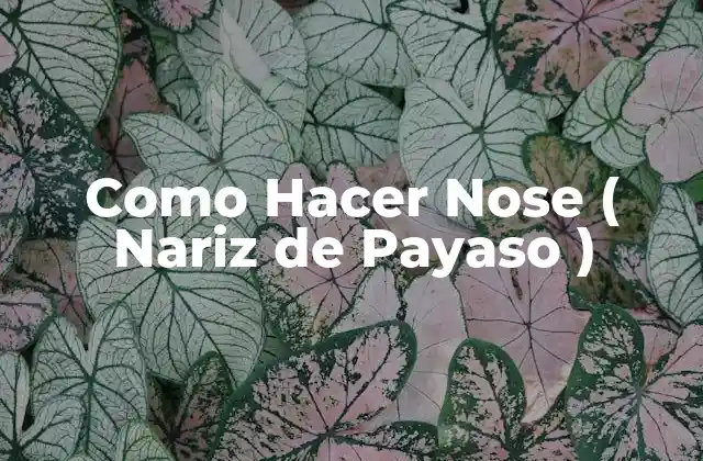 ¿Qué es una nariz de payaso y para qué sirve?