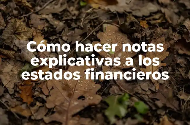 Cómo Hacer Notas Explicativas a los Estados Financieros 2 Cómo hacer notas explicativas a los estados financieros
