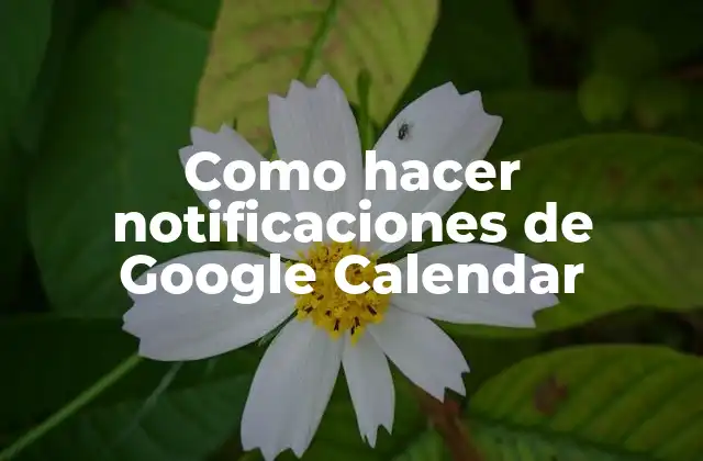 Como Hacer Notificaciones de Google Calendar