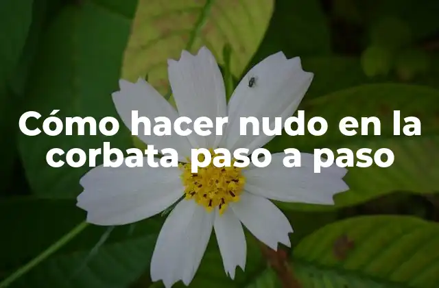 Cómo Hacer Nudo en la Corbata Paso a Paso